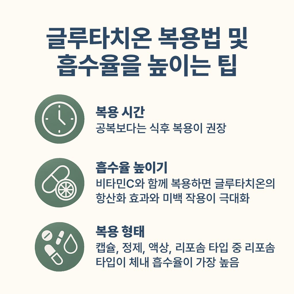 글루타치온-복용법-및-흡수율-팁 인포그래픽