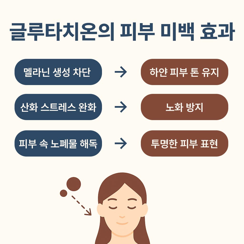 글루타치온-피부-미백-효과 인포그래픽