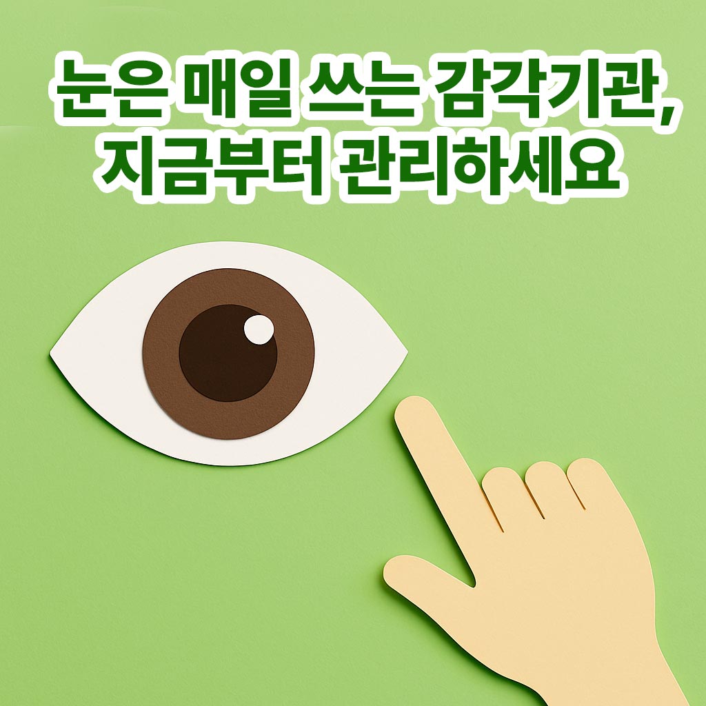 눈 건강 지금부터 관리하세요 그래픽