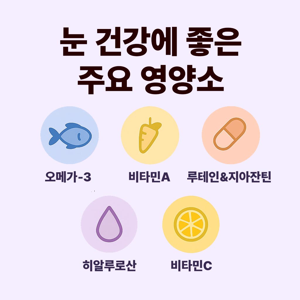 눈-건강에-좋은-주요-영양소-인포그래픽