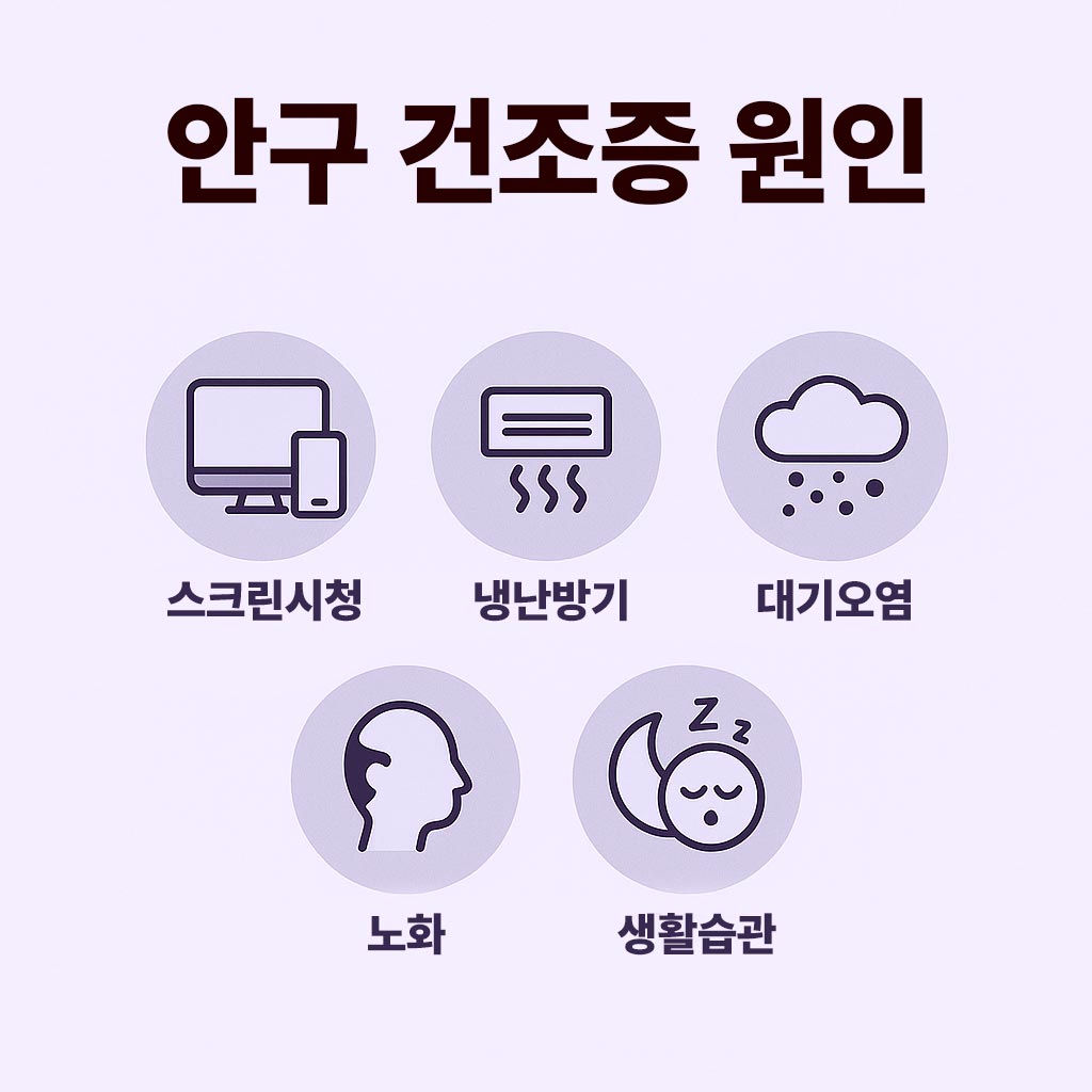 안구-건조증-원인-인포그래픽