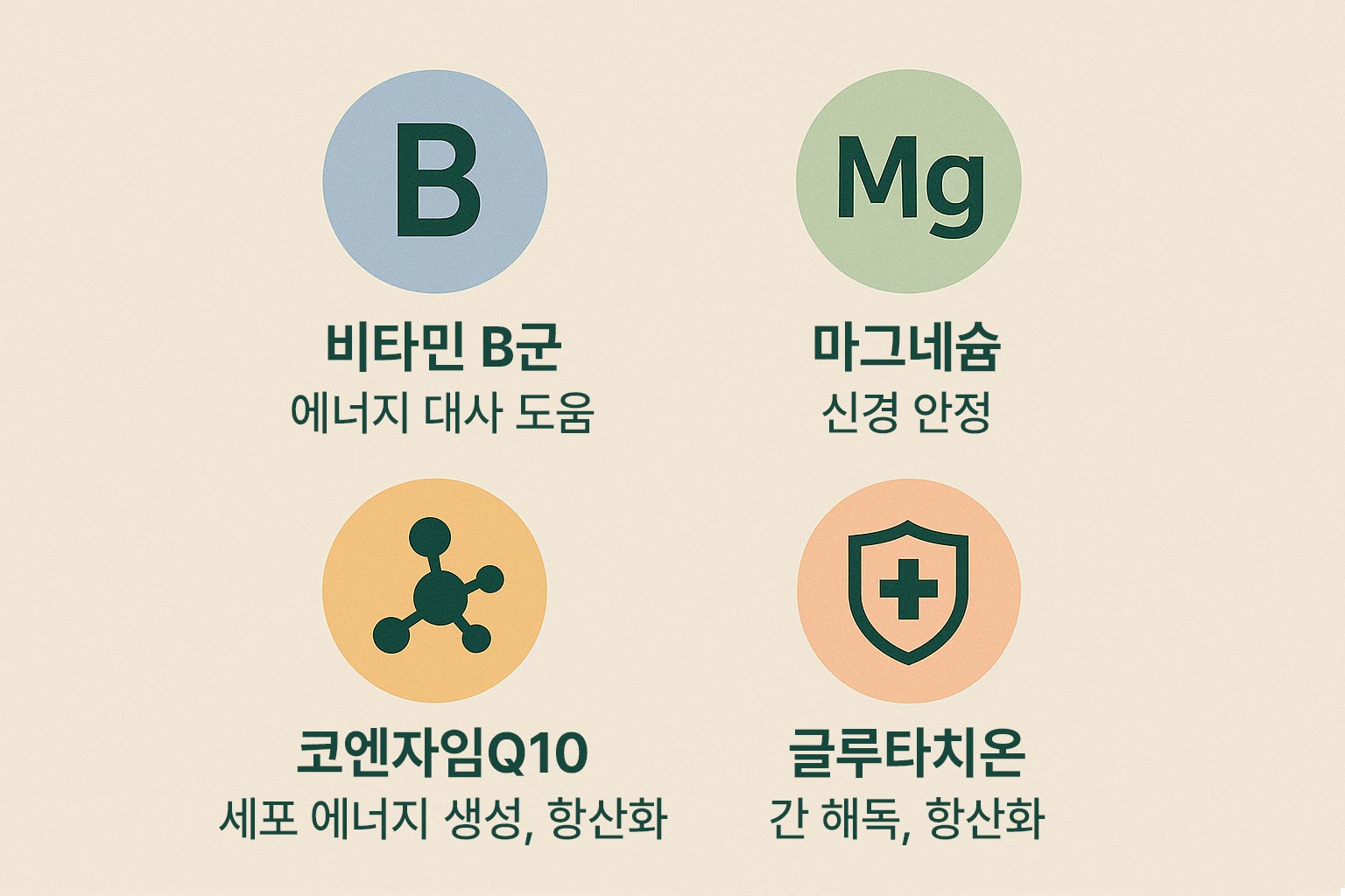피로 회복에 좋은 영양제 추천 성분 인포그래픽
