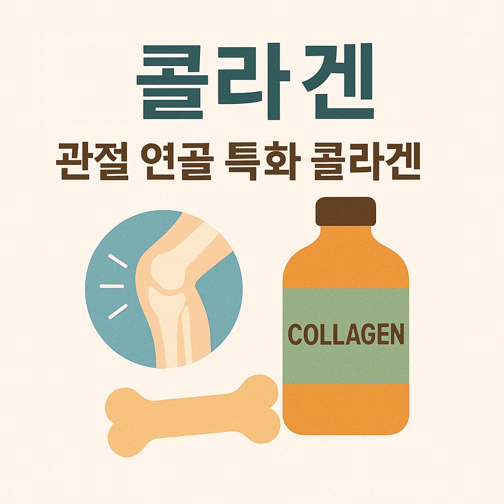 콜라겐 인포그래픽