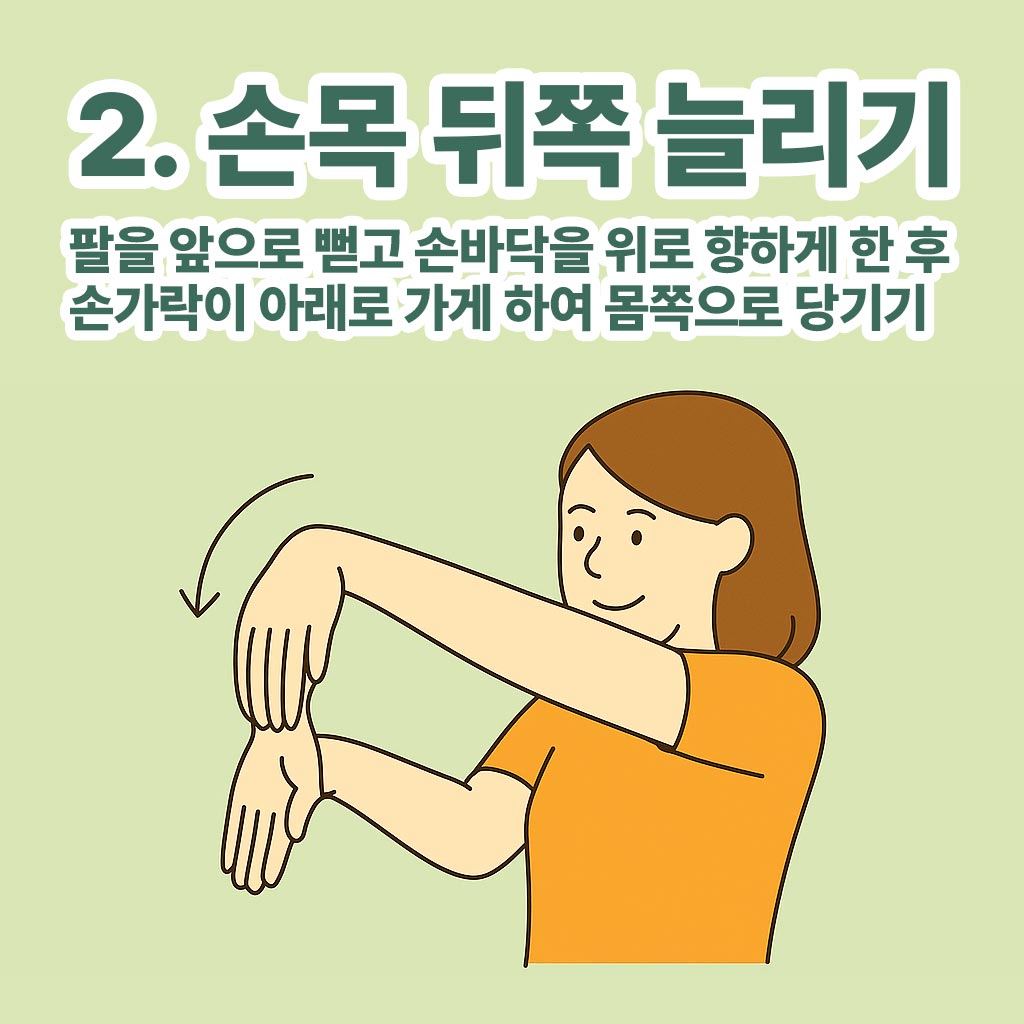 손목-뒤쪽-늘리기-이미지