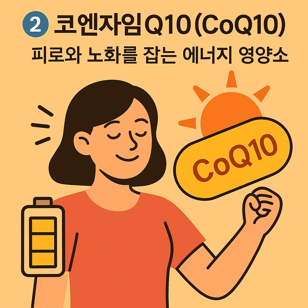 코엔자임Q10(CoQ10)