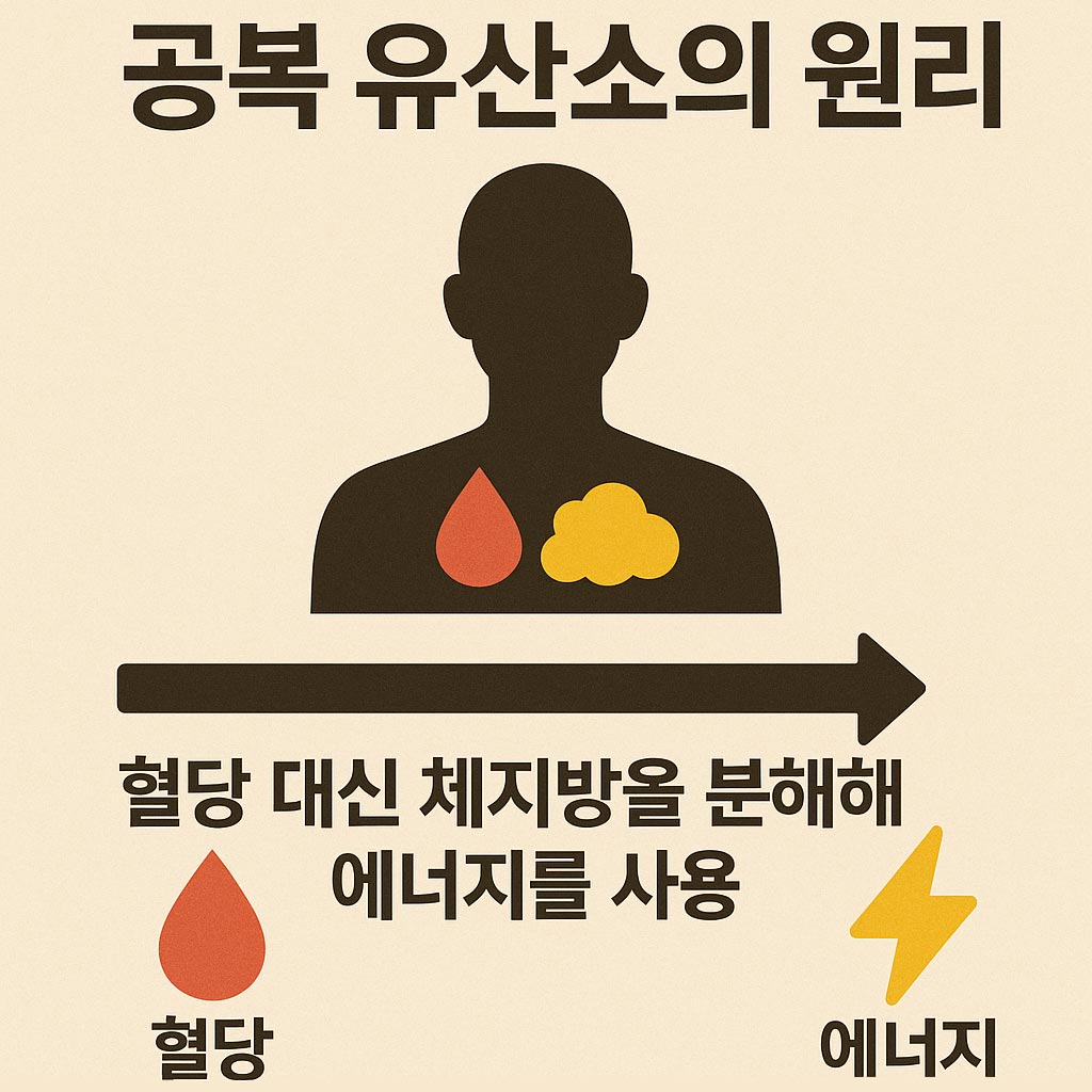 공복 유산소 원리