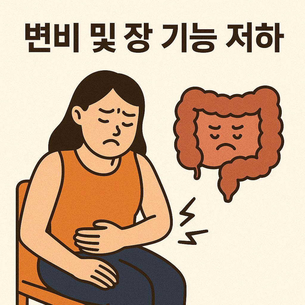 변비 및 장기능 저하