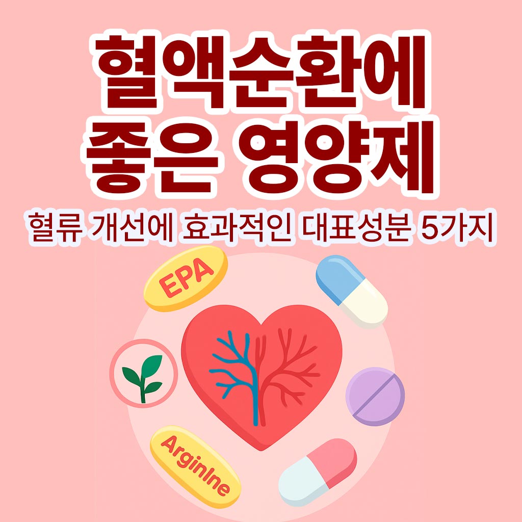 혈액순환에-좋은-영양제-썸네일-이미지