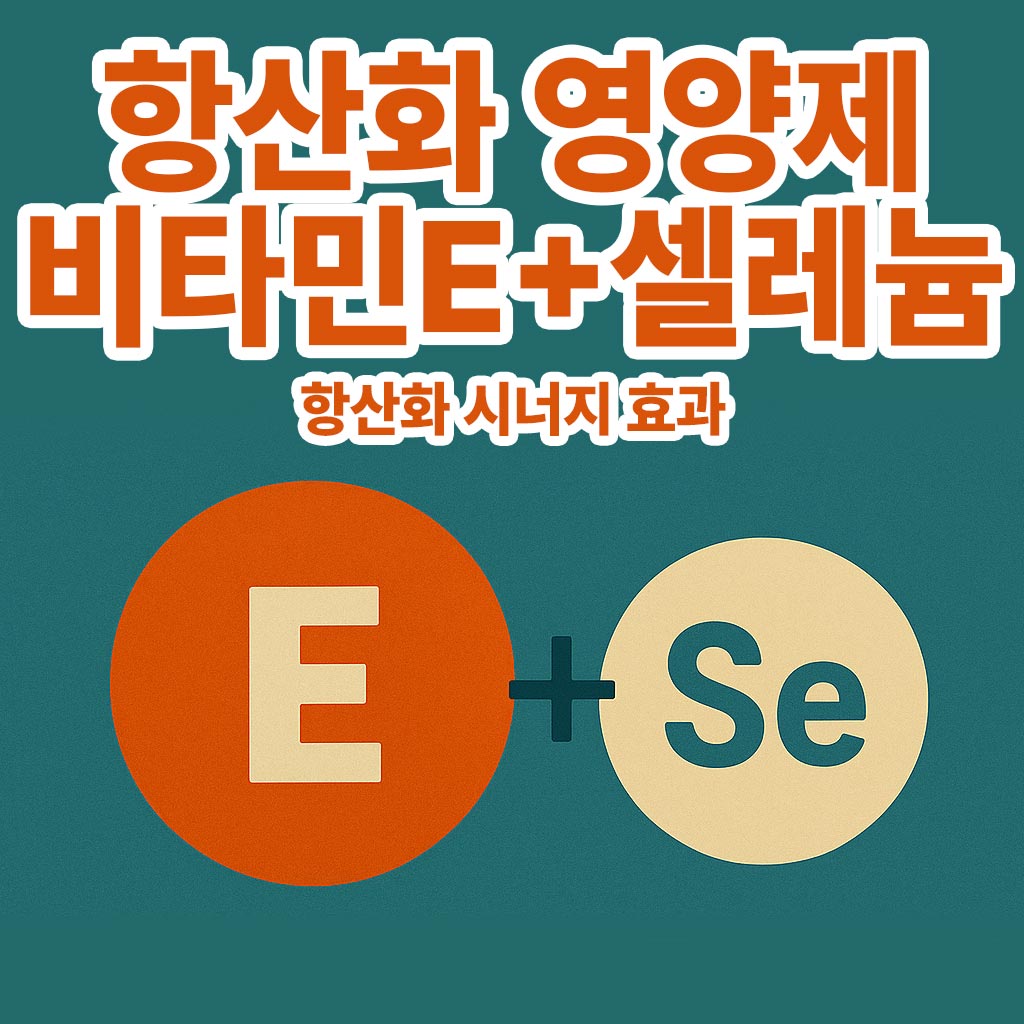 항상화 영양제 비타민E 셀레늄 썸네일